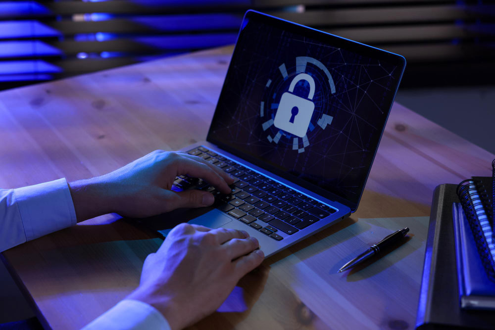 protección y seguridad de datos financieros en software contable